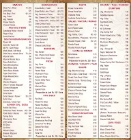 Ashish Dining Pure Veg menu 5