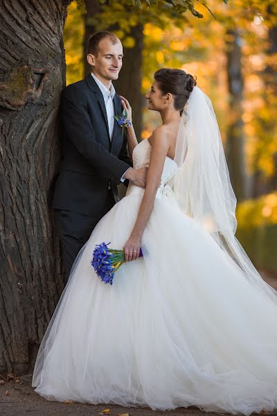 Wedding photographer Alina Nolken (alinovna). Photo of 25 October 2014