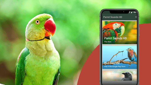 Screenshot Parrot Sounds