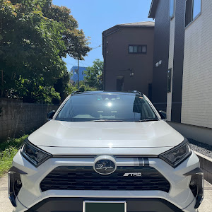 RAV4 AXAH52