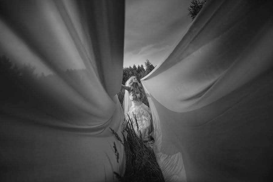 Wedding photographer Evgeniy Timofeev (evgenytimofeev). Photo of 28 August 2013