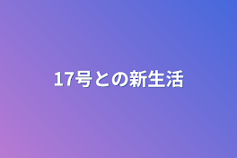 17号との新生活