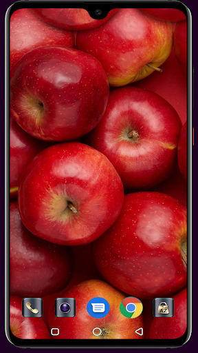 Apple Fruit Wallpaper 4K Latest
