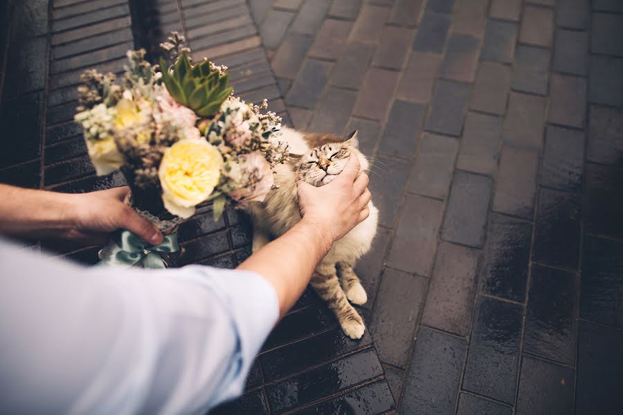 Fotograful de nuntă Aleksandr Ugarov (ugarov). Fotografia din 2 martie 2015