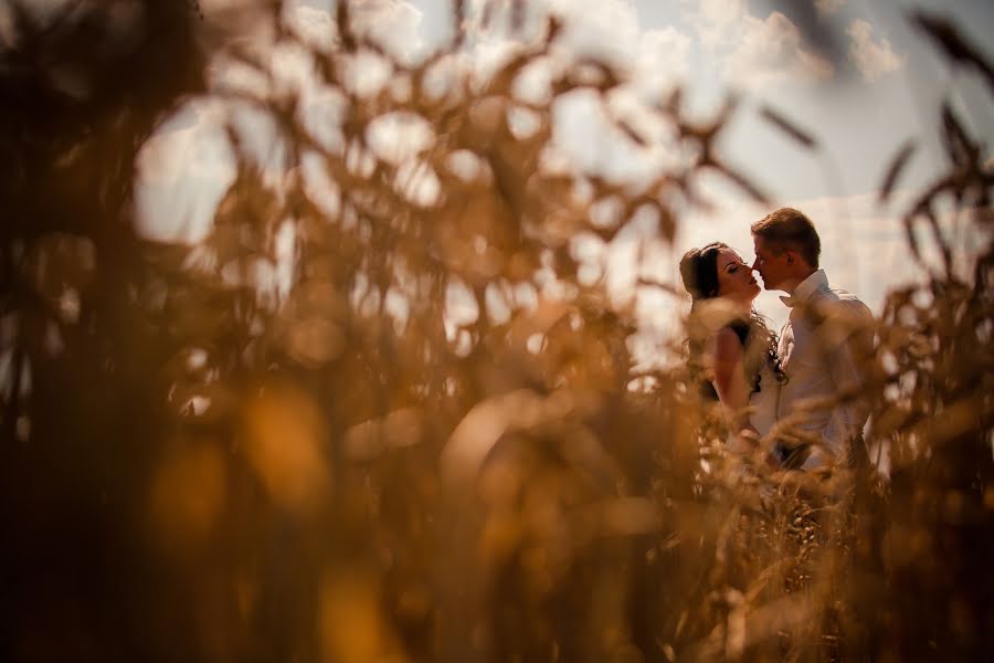 Fotógrafo de casamento Aleksandr Bogoradov (ctsit). Foto de 24 de março 2015