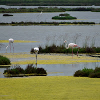 La bellezza della natura di 