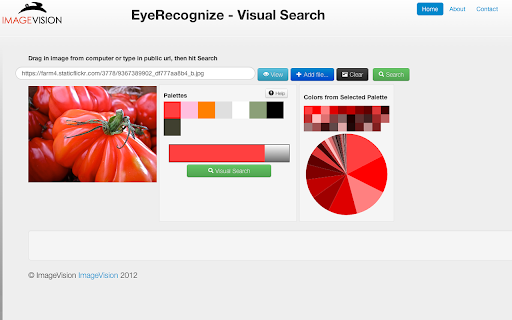 Visual Search