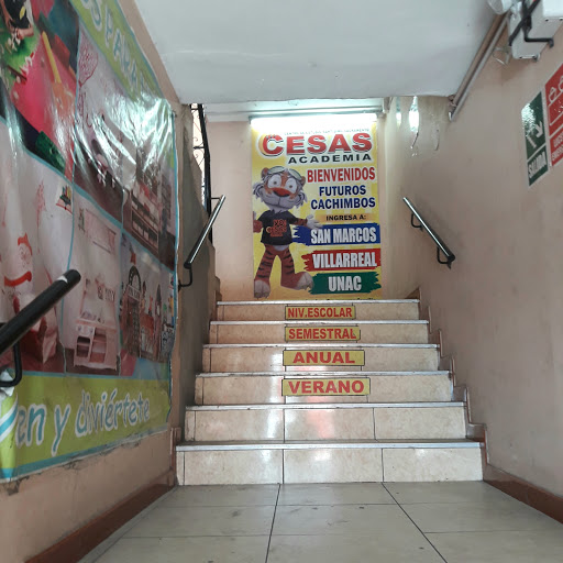 Cesas Academia