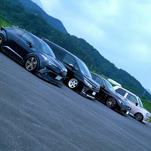 スカイライン HV37