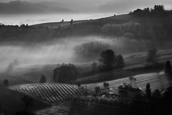 Langhe di Francescogiacomo