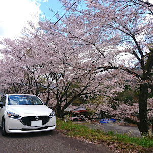 MAZDA2 DJLFS