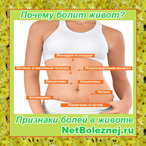 Неприятное ощущение в верхней части живота это. Болит живот. Части живота. Что болит слева. Болит живот справа.