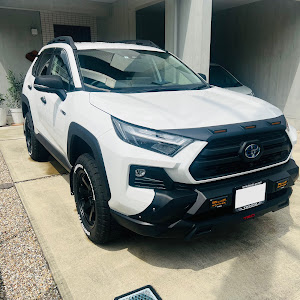 RAV4 AXAH54