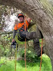 G Johnston Professional Tree Surgeon Logo