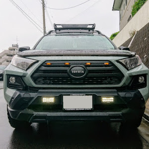 RAV4 MXAA54