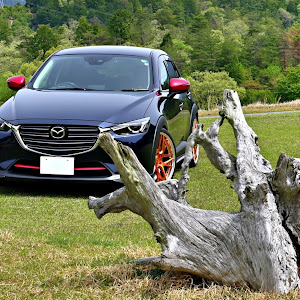 CX-3 DKEFW