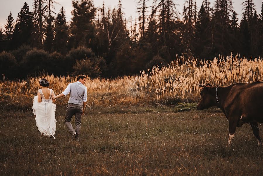 Fotógrafo de casamento Natalya Tamenceva (tamenseva). Foto de 9 de julho 2019