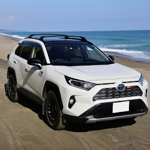 RAV4 AXAH54