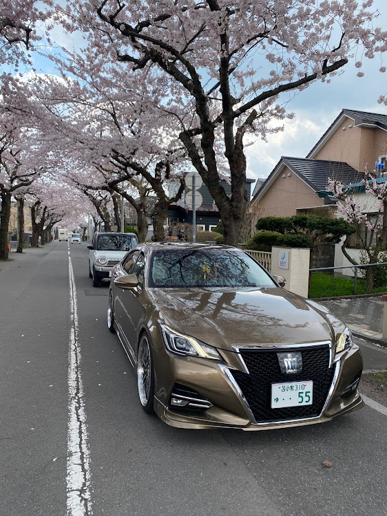 クラウンアスリートのクラウンアスリート・ジャパンカラーセレクション・ドライブ・桜スポットに関するカスタム事例の投稿画像1枚目
