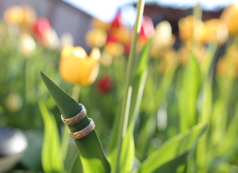 Fotograful de nuntă Adrian Rusu (adrianrusu). Fotografia din 23 aprilie 2018