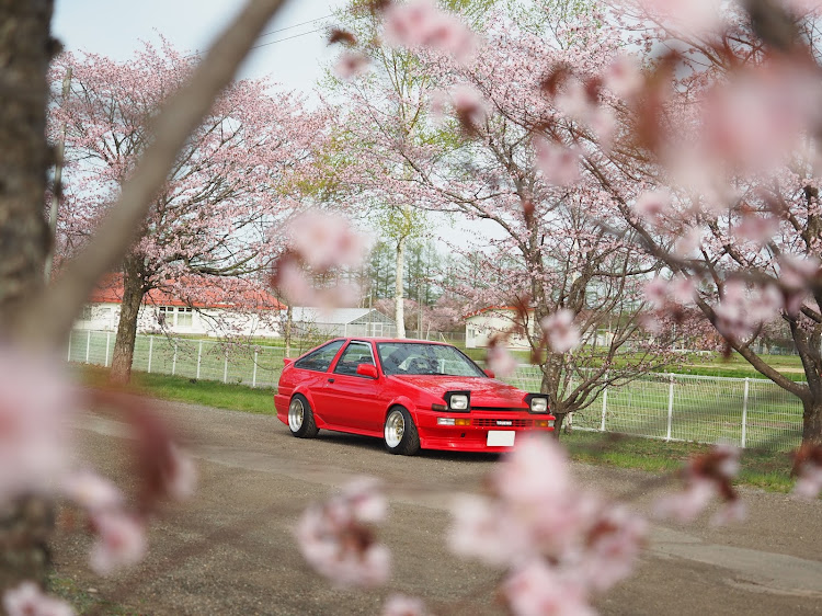 スプリンタートレノのいつもいいねありがとうございます😊・まだまだ続くよ🌸・カメ活📷・「愛車とコラボショット」・春の交通安全運動に関するカスタム事例の投稿画像5枚目