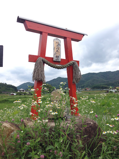 川之内水の神