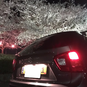 イグニス FF21S