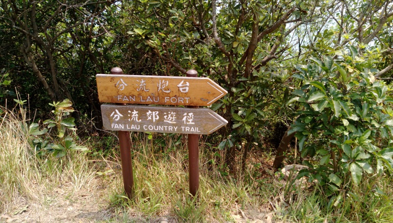 分流半島