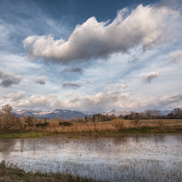 Frozen Lake di 