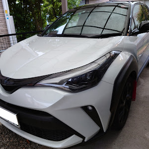 C-HR ZYX11