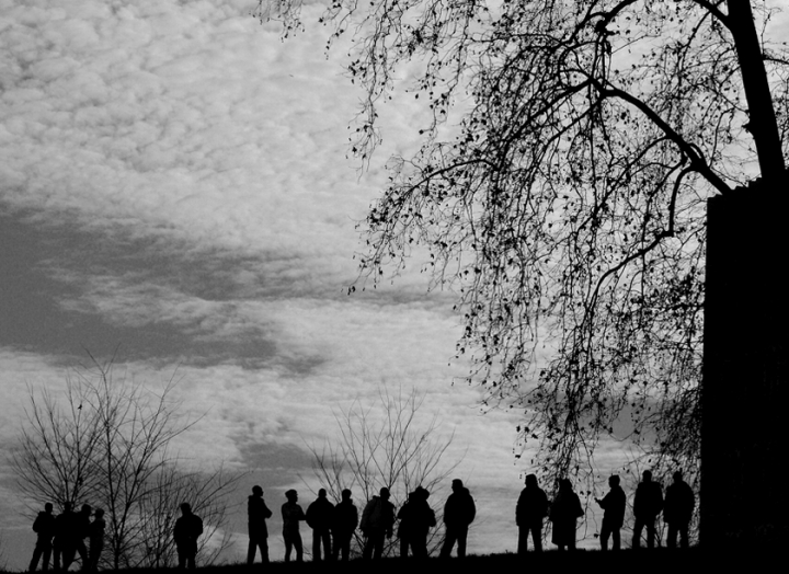 Sotto un albero di Massimo Genovesi