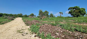 terrain à Anse bertrand (971)