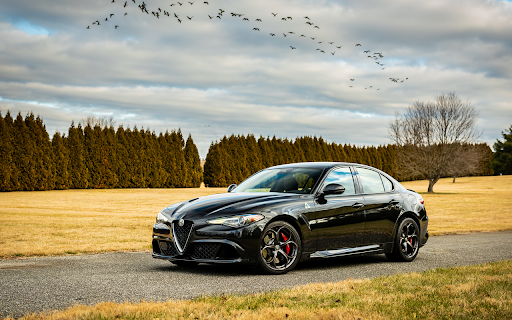 Alfa Romeo Under the Sky screenshot 2