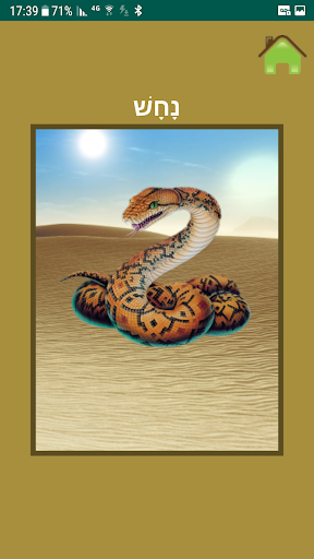 חיות. בעלי חיים בשירים