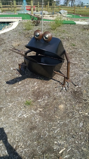 Wheelbarrow Frog