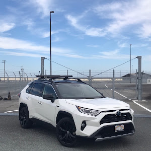 RAV4 AXAH54