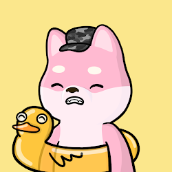 Shibe #2761