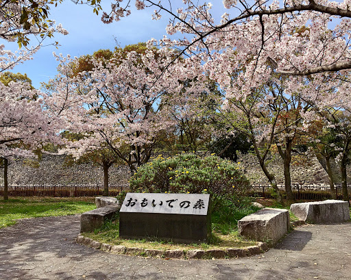 おもいでの森