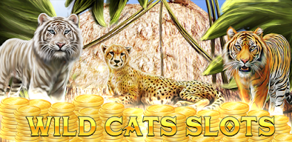 Wild Cats Casino