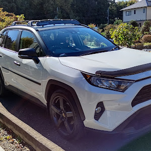 RAV4 AXAH52