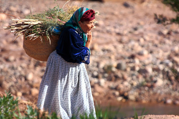 Al lavoro  di Alida Lazzaro