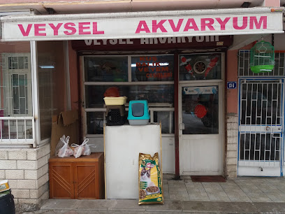 Veysel Akvaryum