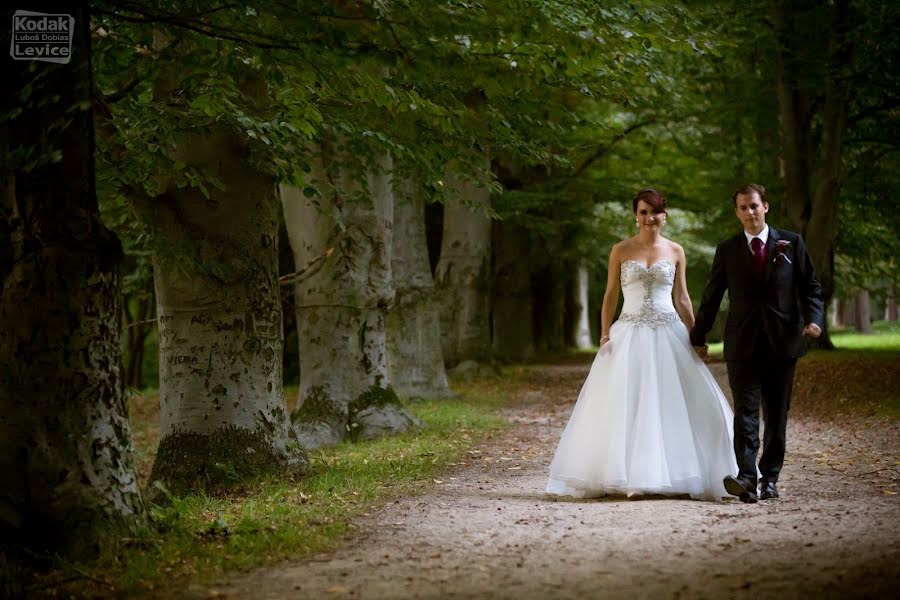 Photographe de mariage Ľuboš Dobias (dobiasl). Photo du 16 avril 2019