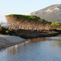 Oasi marina di 