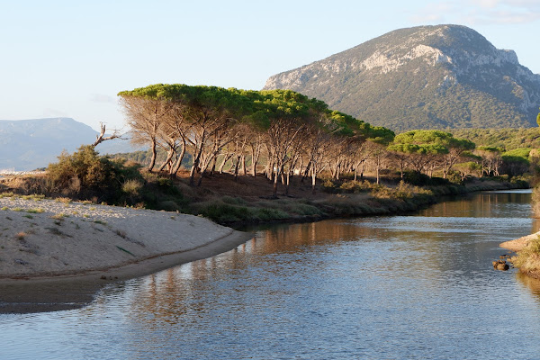 Oasi marina di Mav