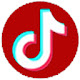 Web TikTok™ (Mobile View)