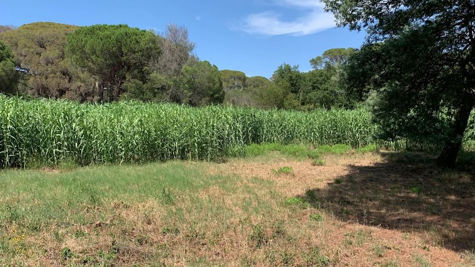 Vente terrain à batir  2559 m² à Frejus (83600), 404 000 €