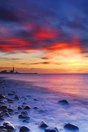 Test Application - PR 01 poster 1