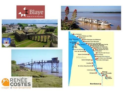 Vente viager 8 pièces 213 m² à Blaye (33390), 55 500 €