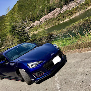 BRZ ZC6